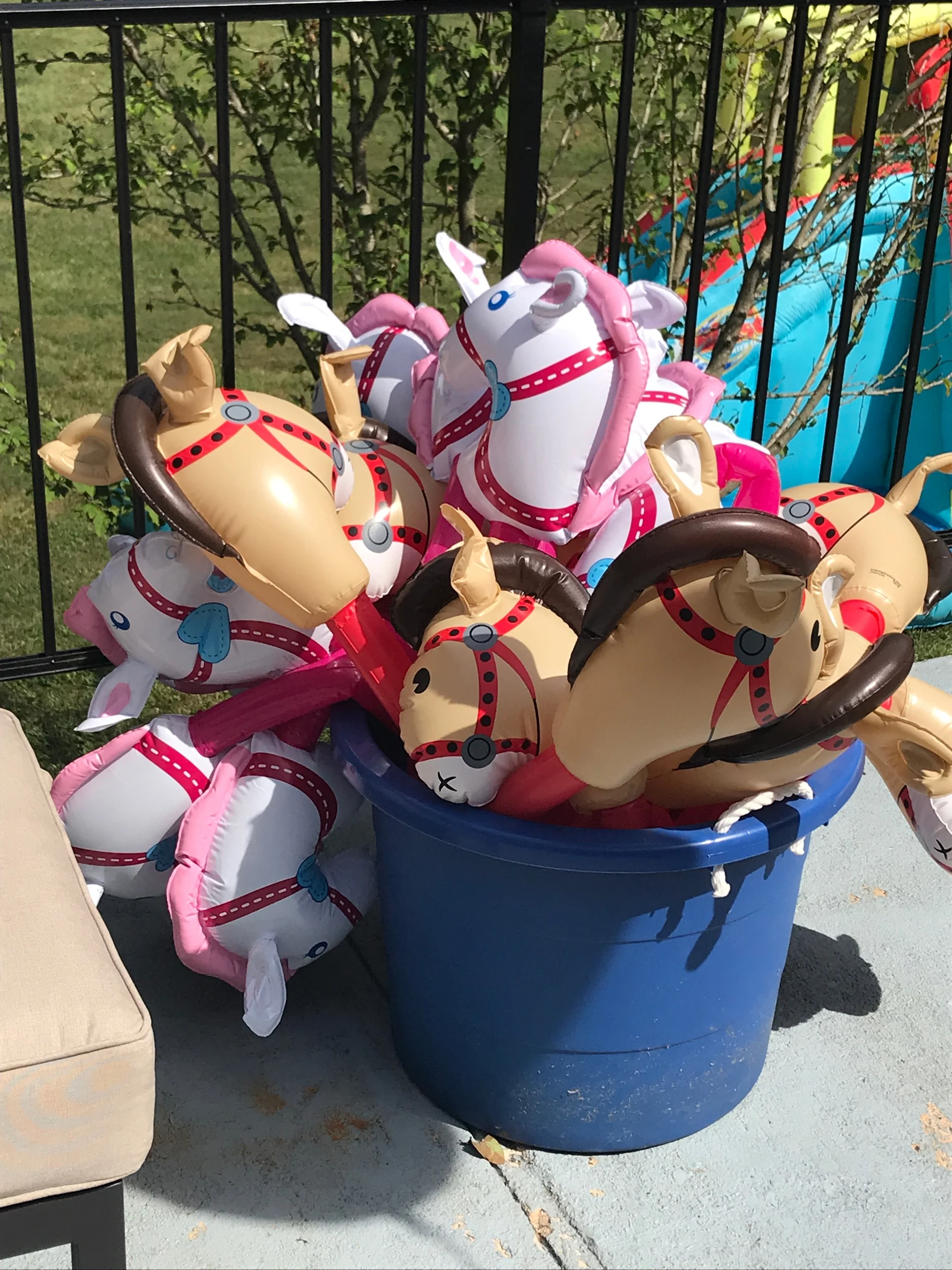 IMG_0785.jpeg