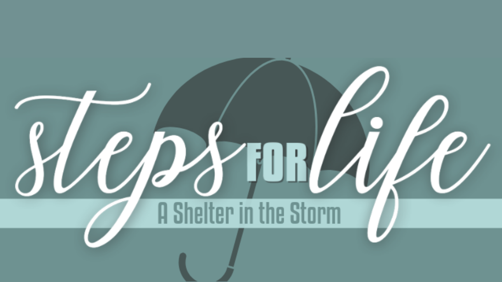 Steps for Life.png