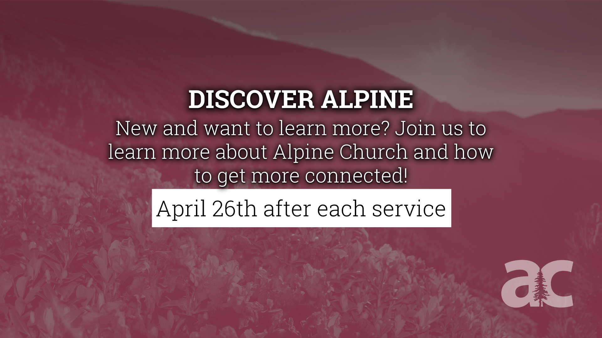 Discover Alpine