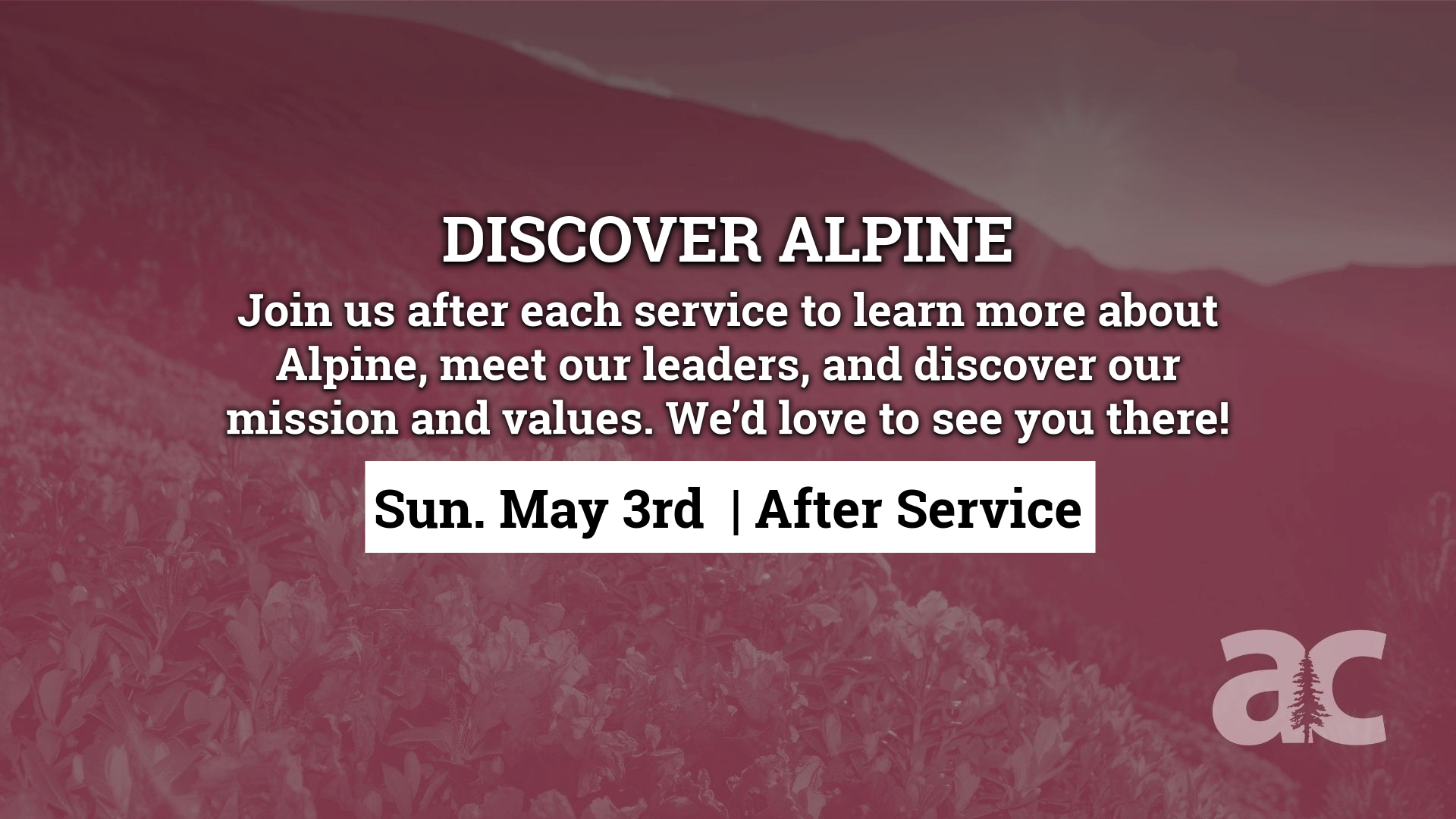 Discover Alpine Brigham
