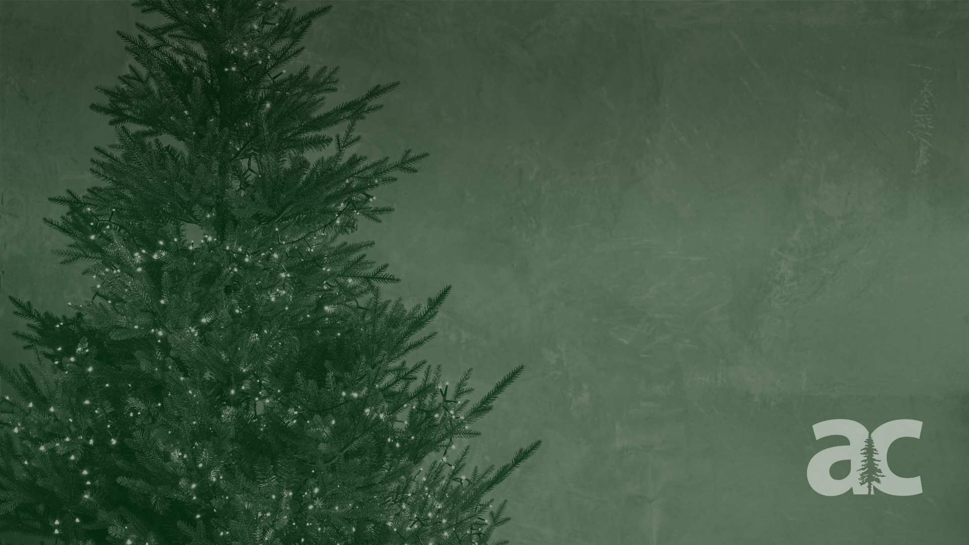 Christmas website  (1).png
