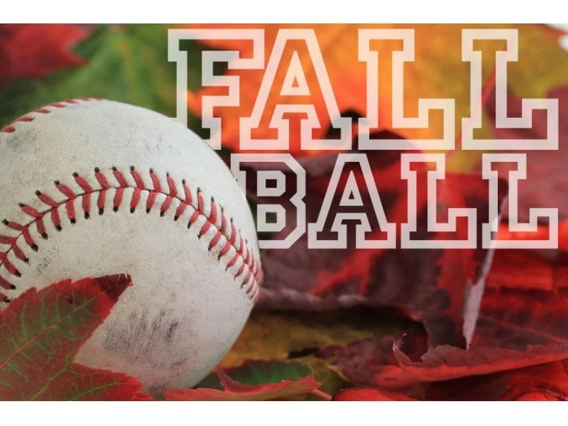 fall.jpg