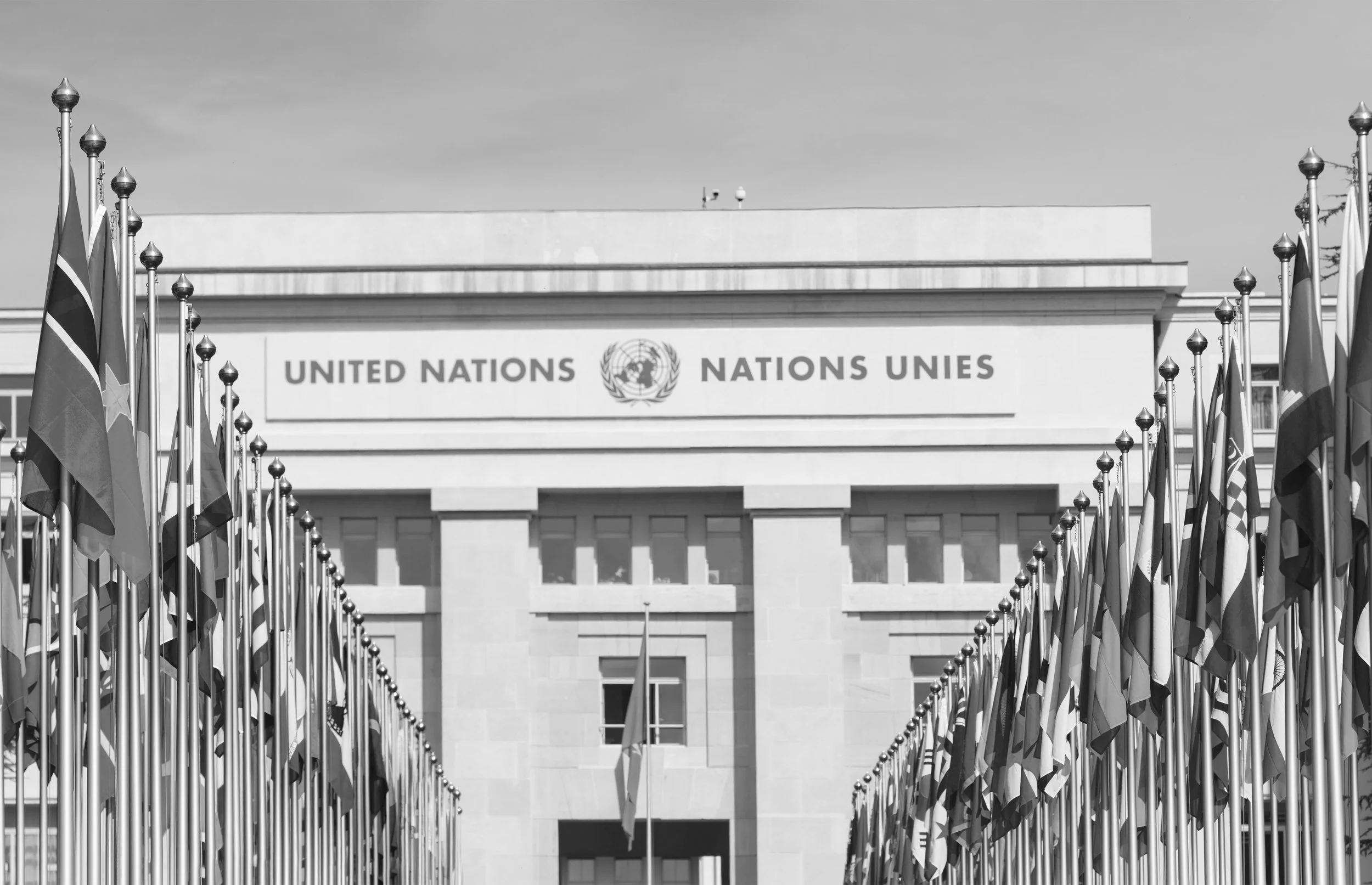 UNGA’S PROCESS FOR DECISION-MAKING?