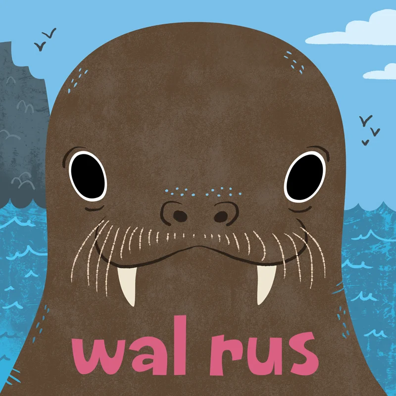 HilliKushnir_EyesAndEars_walrus.jpg