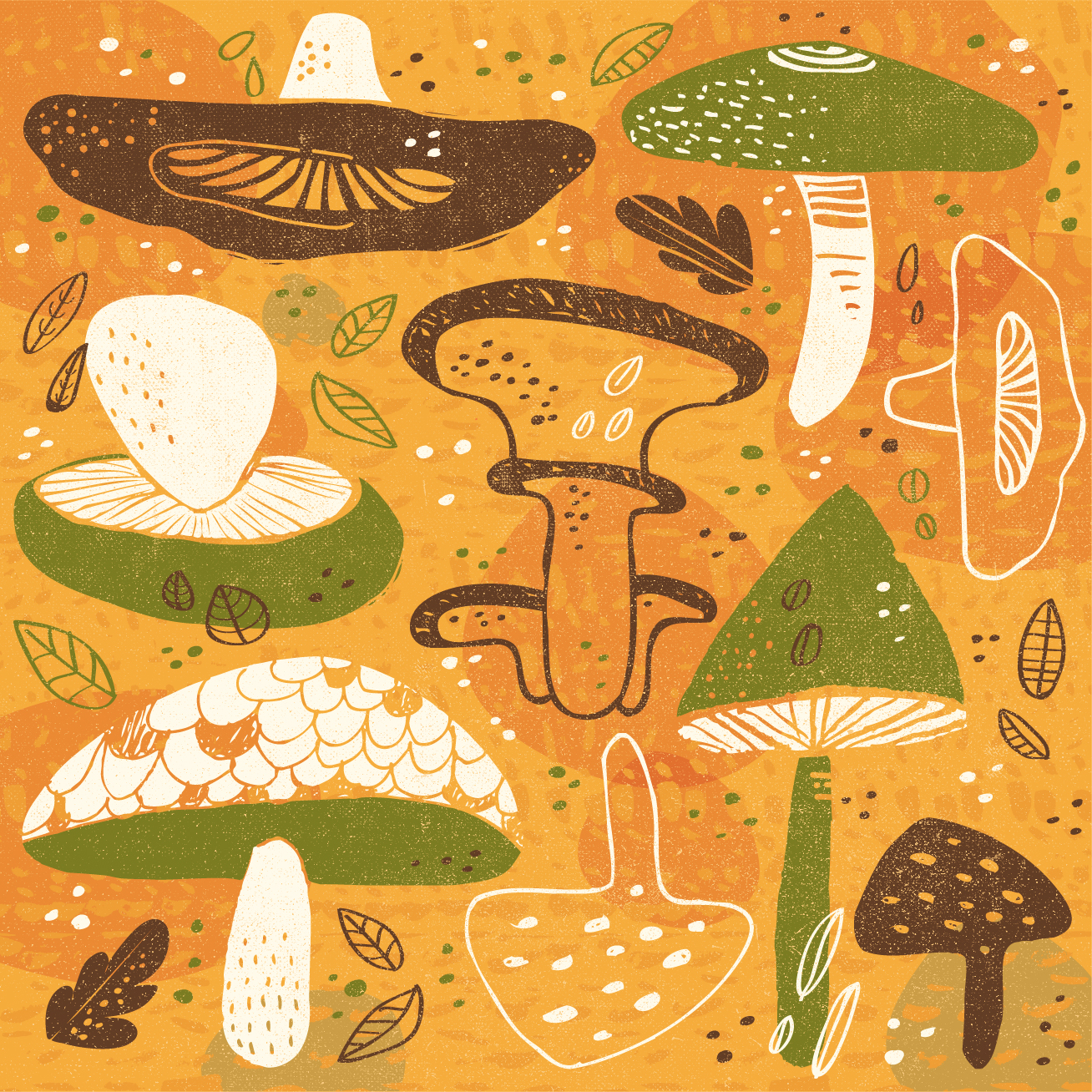 mushroomGalore.jpg
