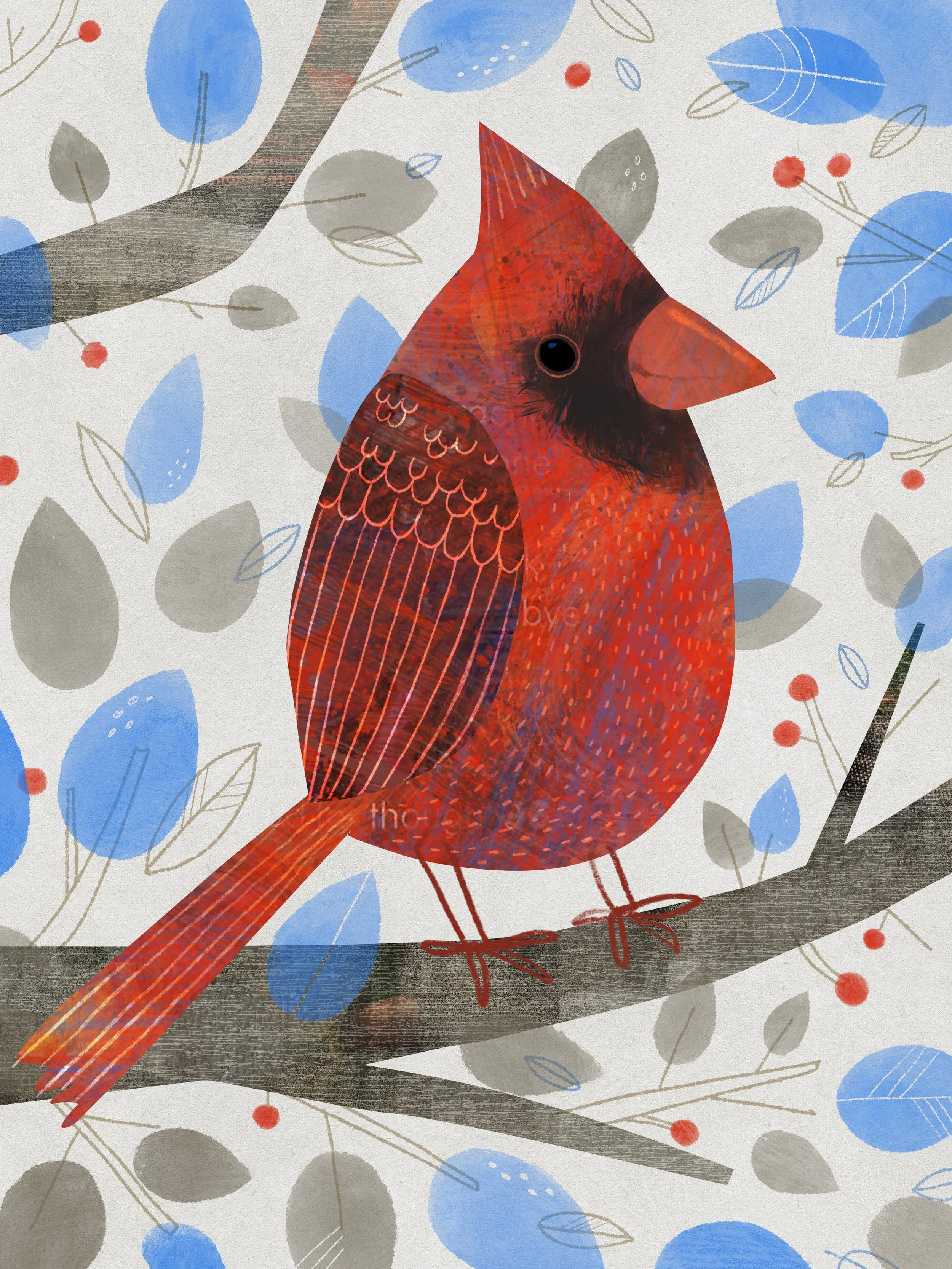 HilliKushnir_Cardinal.jpg