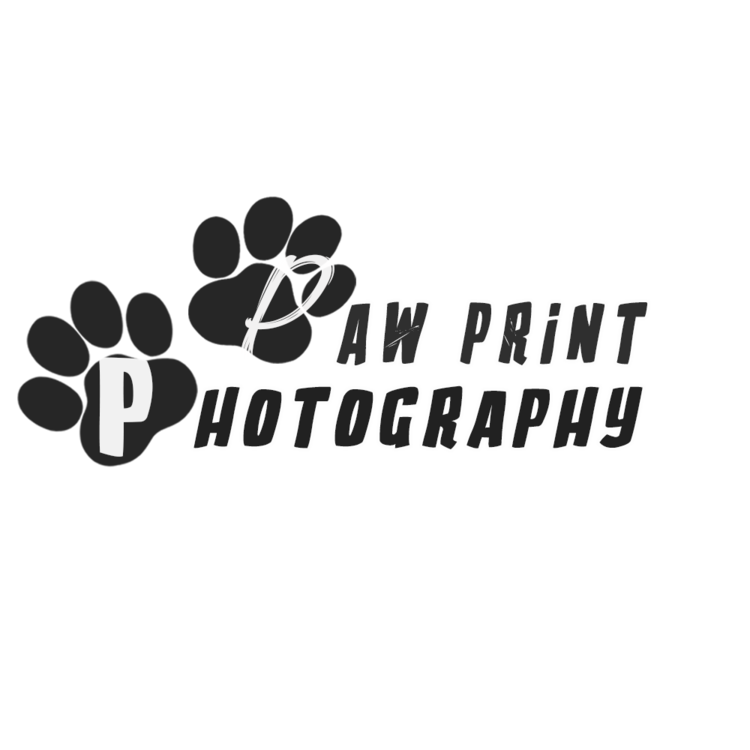 thepawprintphotography.com