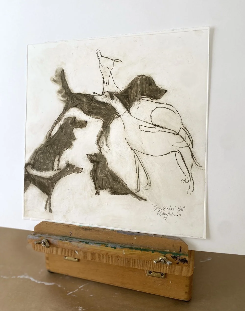 Dog Study'. Dog Drypoint Drawing by Samantha Barnes 6 copy.JPG