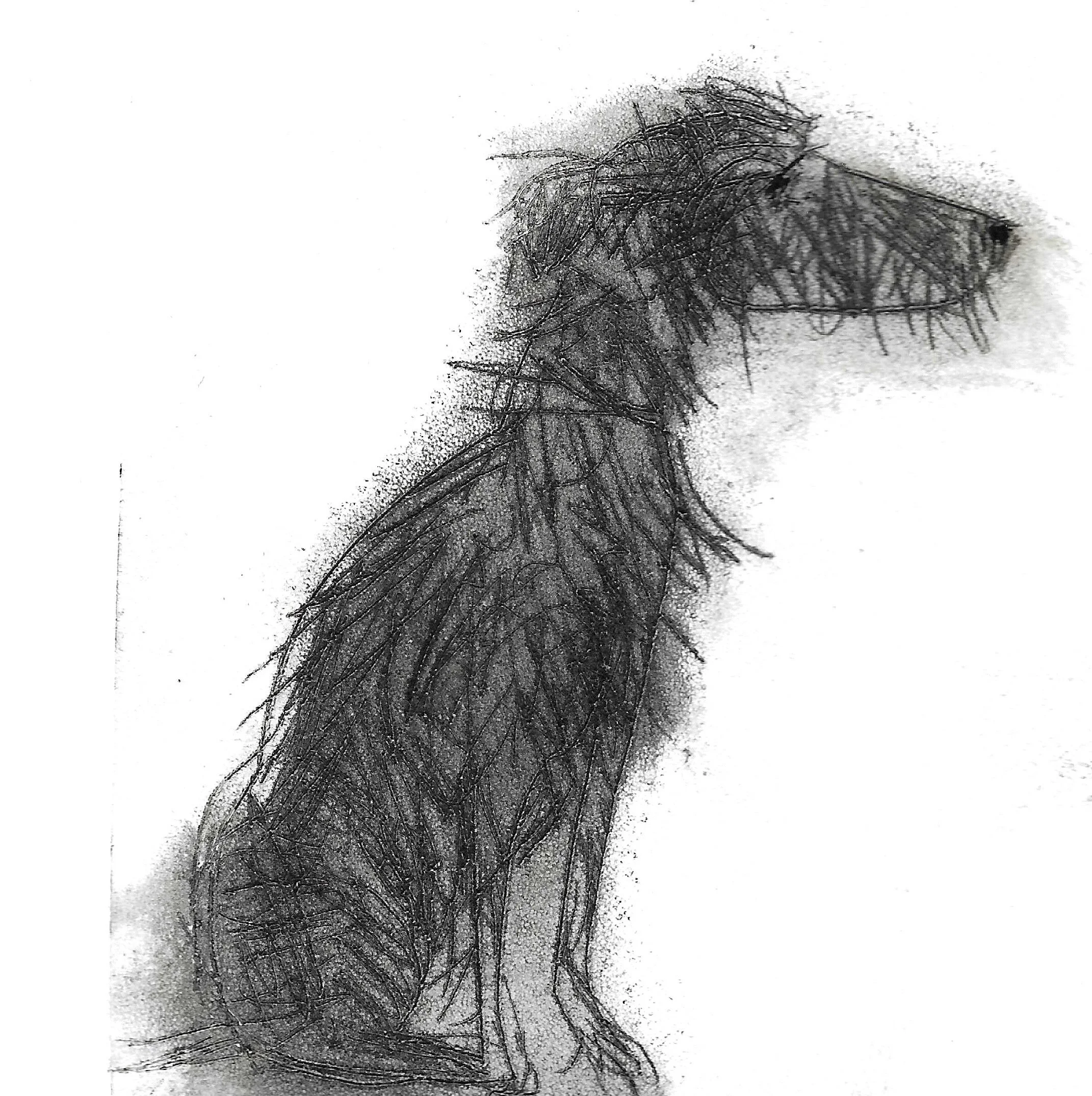 'Scruffy Boy'. Drypoint Print, Edition of 12.  Image Size 10 x 10cm