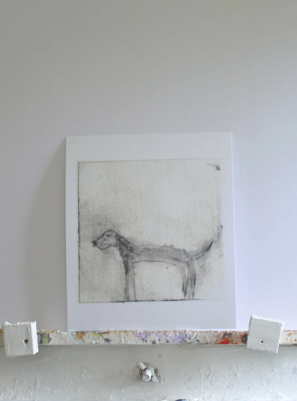 Dainty+Dog+OEP.JPG,