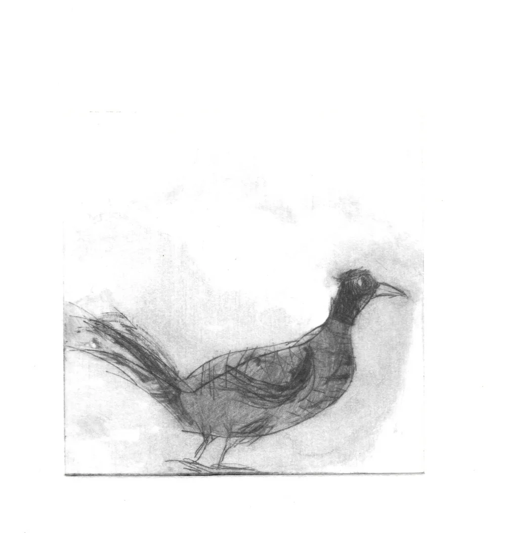 Pheasant+Drypoint+Small.jpg
