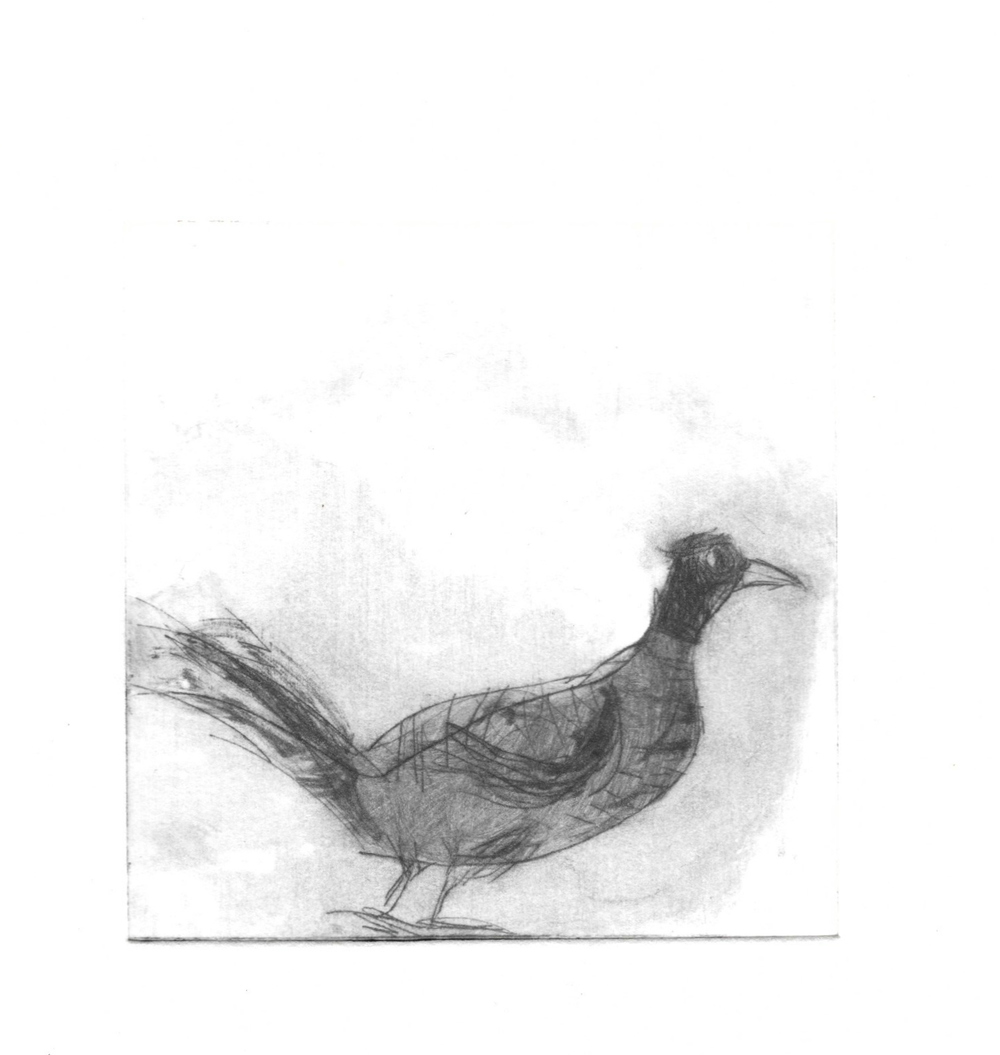 Pheasant+Drypoint+Small.jpg