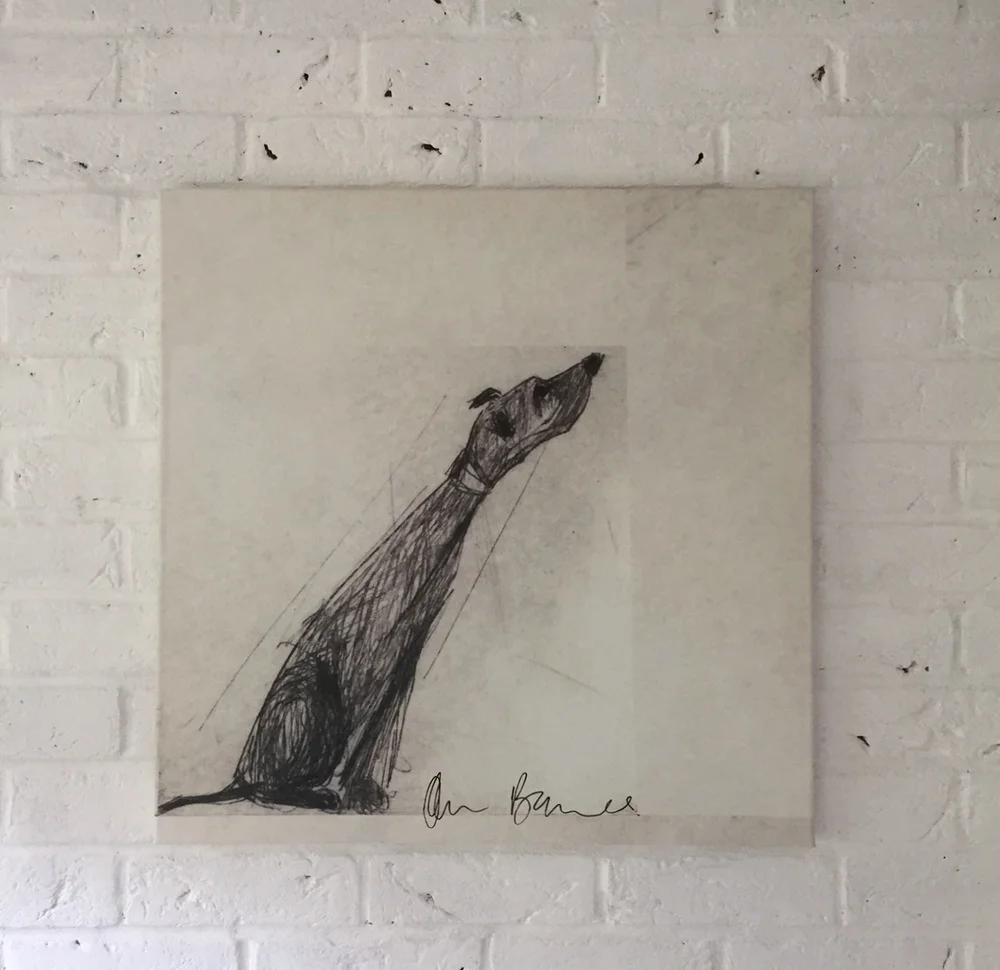Pointy+Nose+Dog+on+Canvas.jpg,