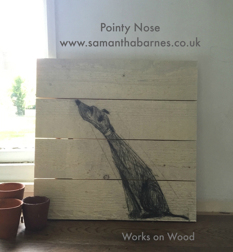 Pointy%2BNose%2BStyled%2BShot.jpg,