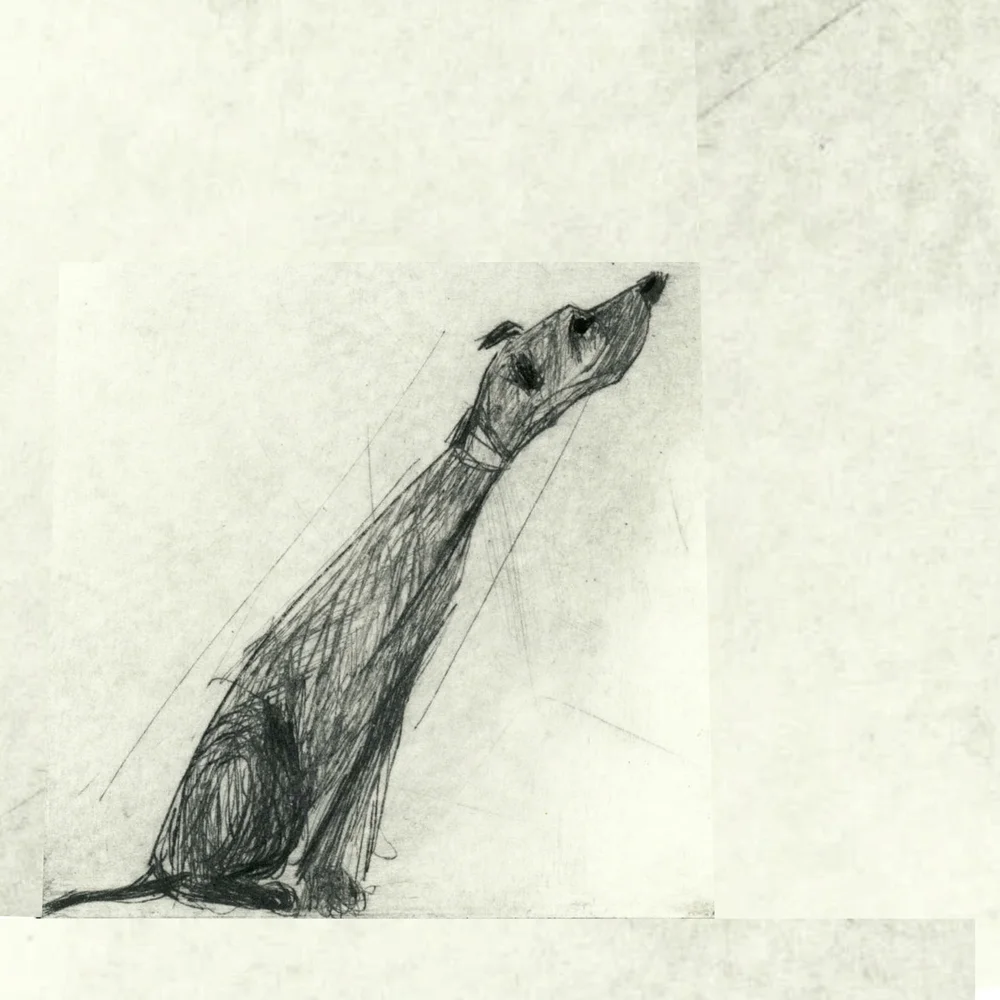Rex+Pointy+Nose.jpg