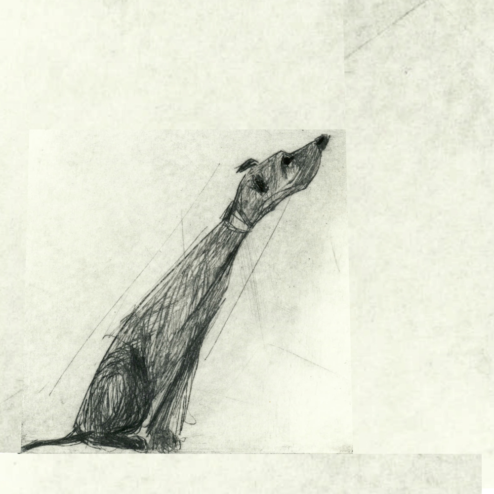 Rex+Pointy+Nose.jpg