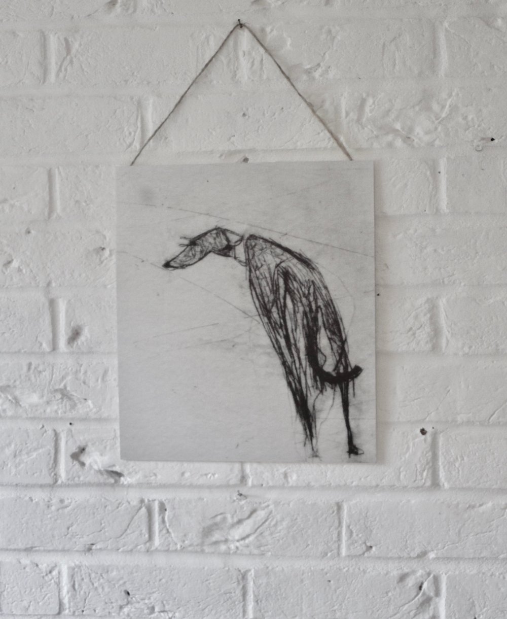 %27Rex%27++Dog+Art+by+Samantha+Barnes+Animal+Artist+1.jpg,