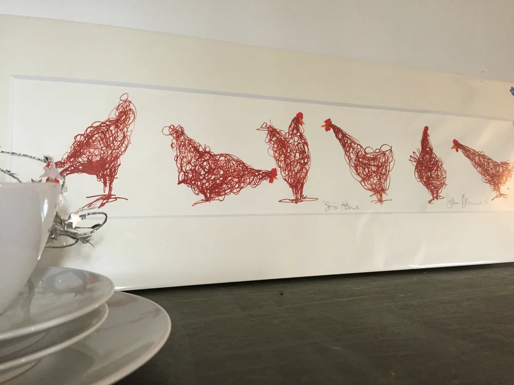Six+Hens+Chook+Chook2.jpg