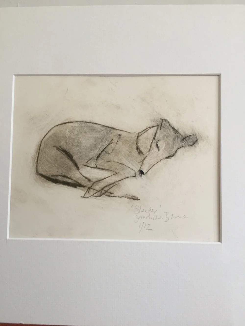 %27Sleeper%27+Drypoint+Print+by+Animal+Artist+Samantha+Barnes+10.jpg,