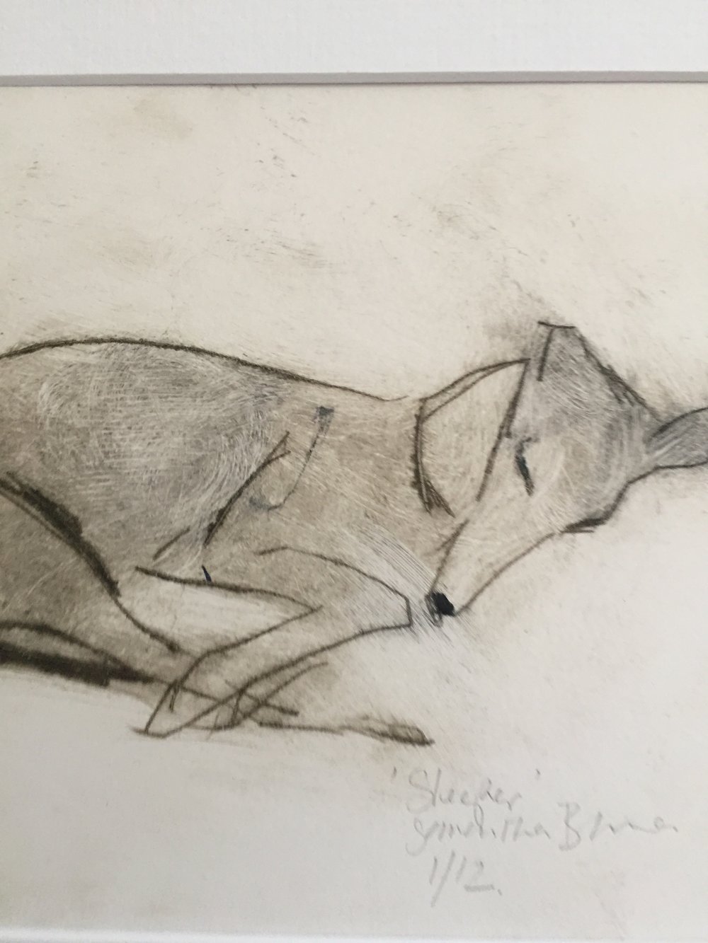 %27Sleeper%27+Drypoint+Print+by+Animal+Artist+Samantha+Barnes+15.jpg,