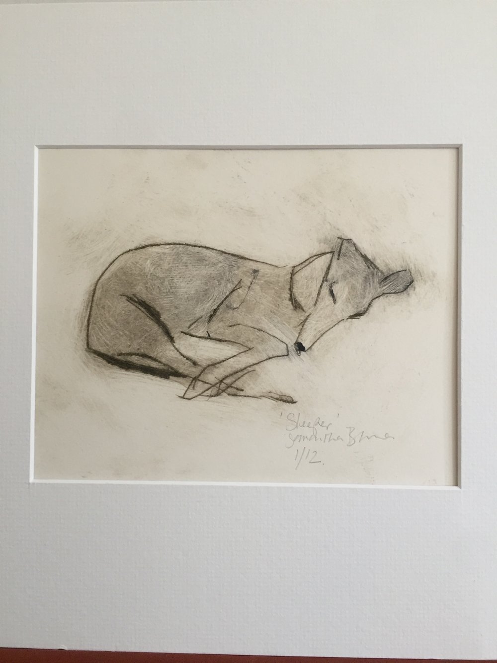 %27Sleeper%27+Drypoint+Print+by+Animal+Artist+Samantha+Barnes+11.jpg,
