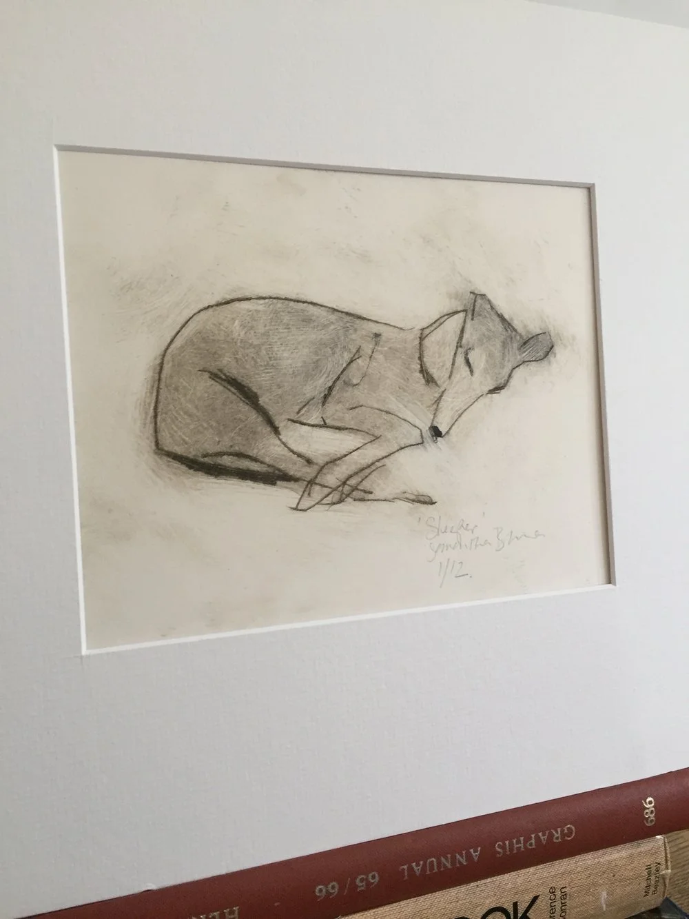 %27Sleeper%27+Drypoint+Print+by+Animal+Artist+Samantha+Barnes+13.jpg,