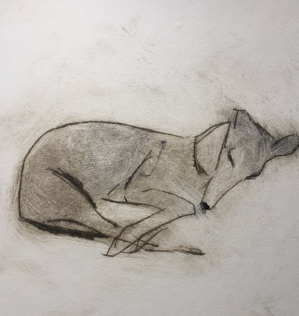 %27Sleeper%27+Drypoint+Print+by+Animal+Artist+Samantha+Barnes+16.jpg,