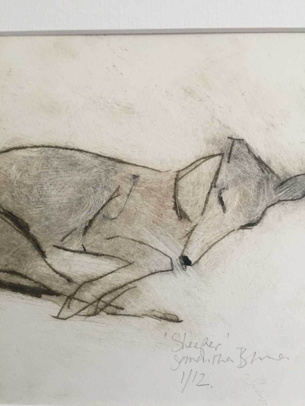 %27Sleeper%27+Drypoint+Print+by+Animal+Artist+Samantha+Barnes+14.jpg,