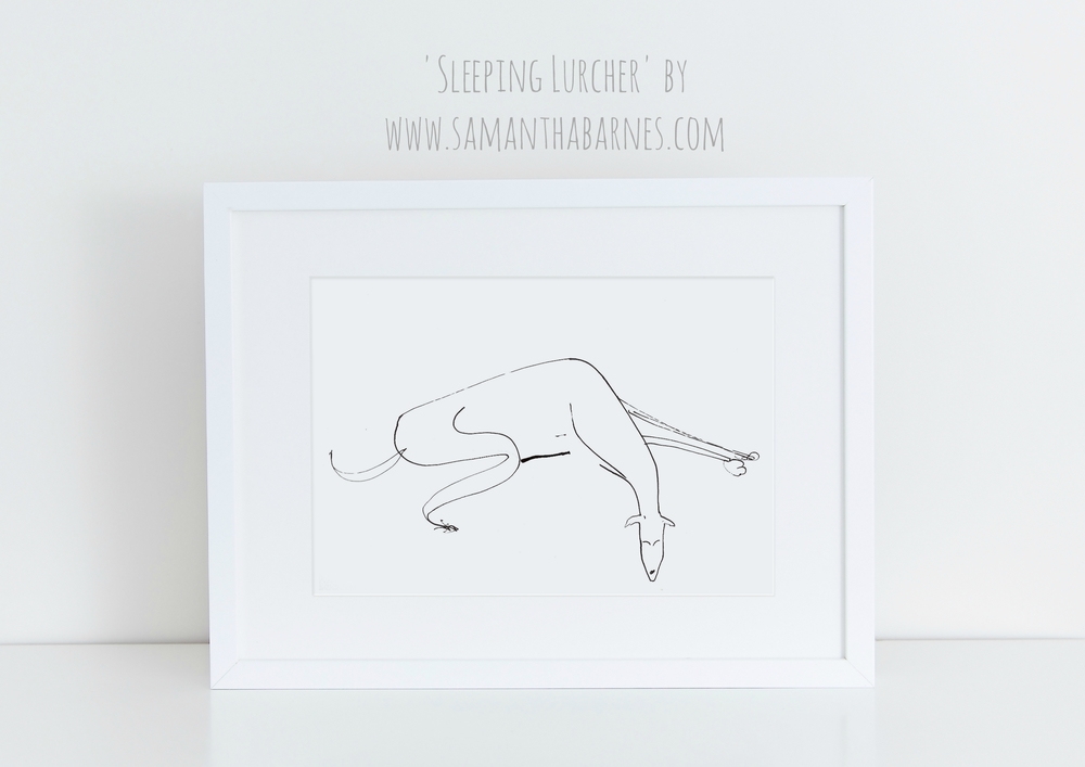 Sleeping+lurcher+styled+shot.jpg,