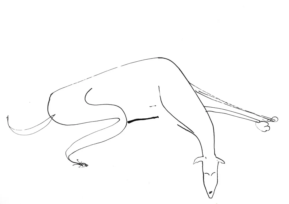 Lurcher+Sleeping+.jpeg,