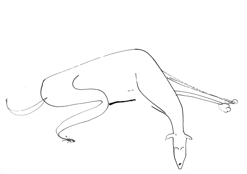 Lurcher+Sleeping+.jpeg,