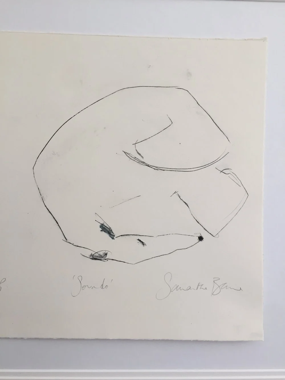 %27Soundo%27+Drypoint+Print+by+Samantha+Barnes+Animal+Artist+4.jpg,