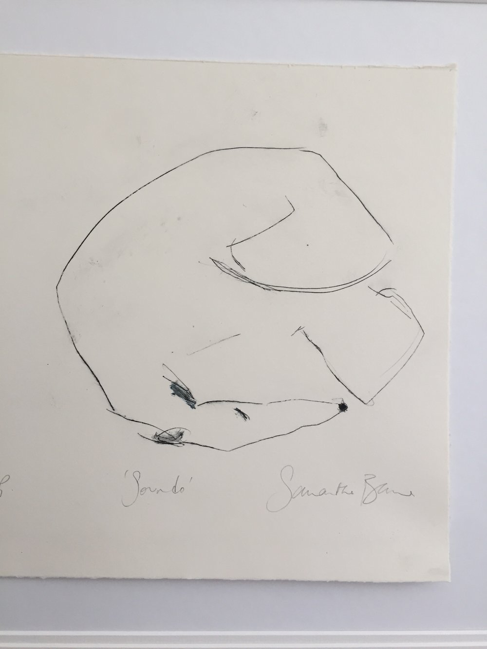 %27Soundo%27+Drypoint+Print+by+Samantha+Barnes+Animal+Artist+4.jpg,