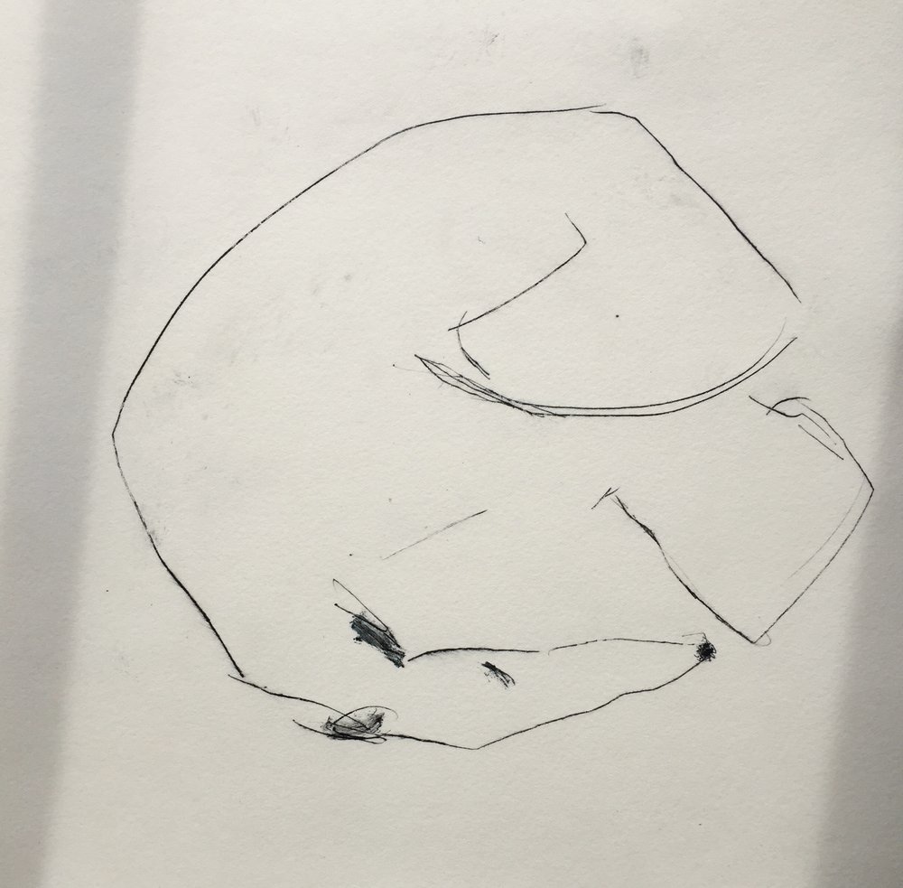 %27Soundo%27+Drypoint+Print+by+Samantha+Barnes+Animal+Artist.jpg