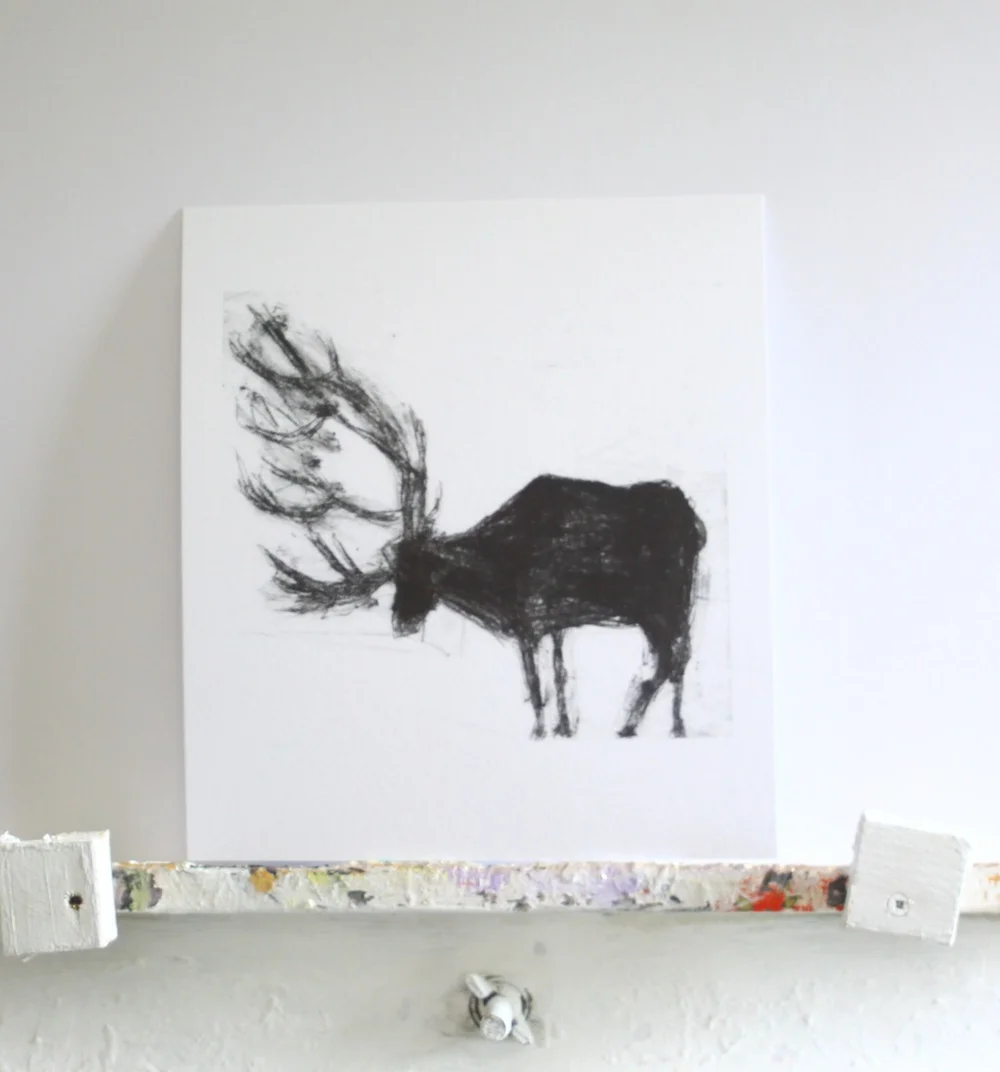 Stag+OEP.JPG,