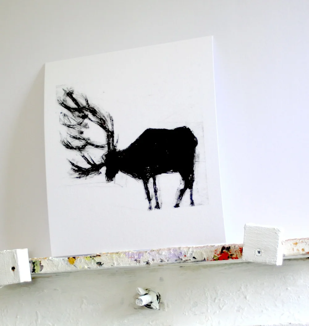 Stag+OEP2.JPG,