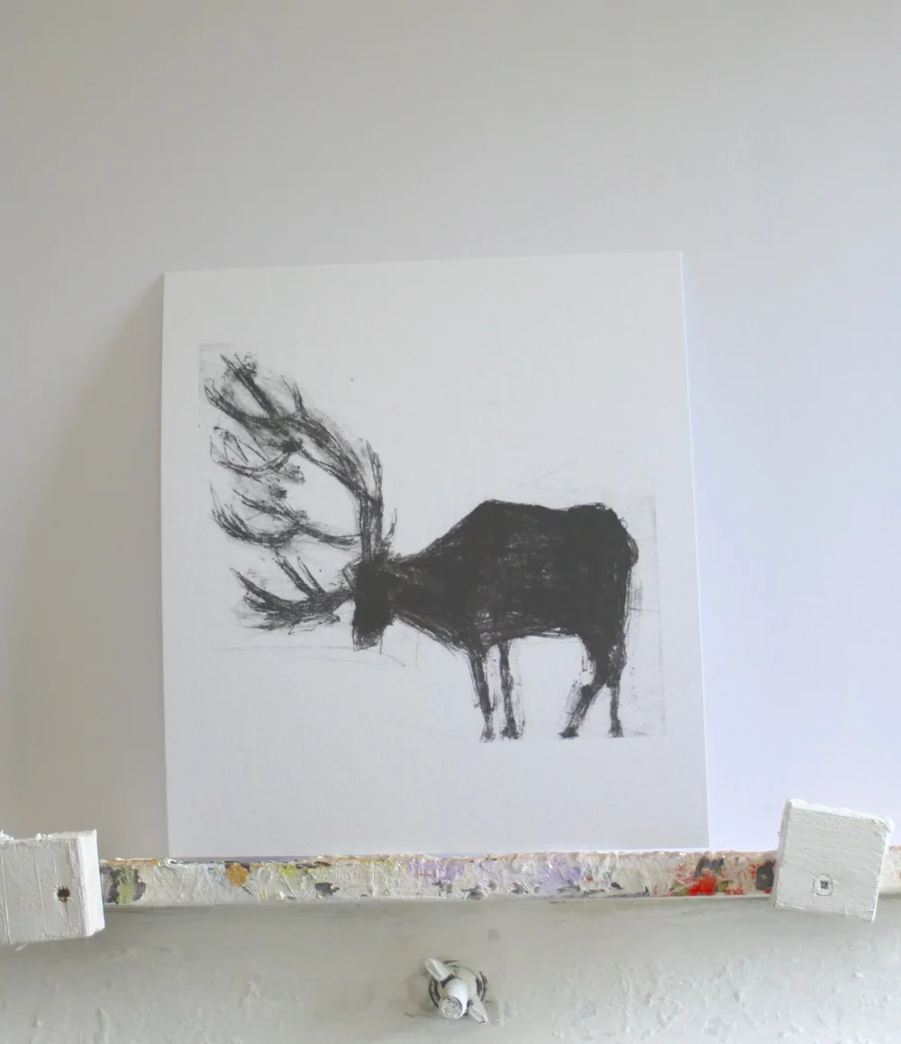 Stag+oeP3.JPG,