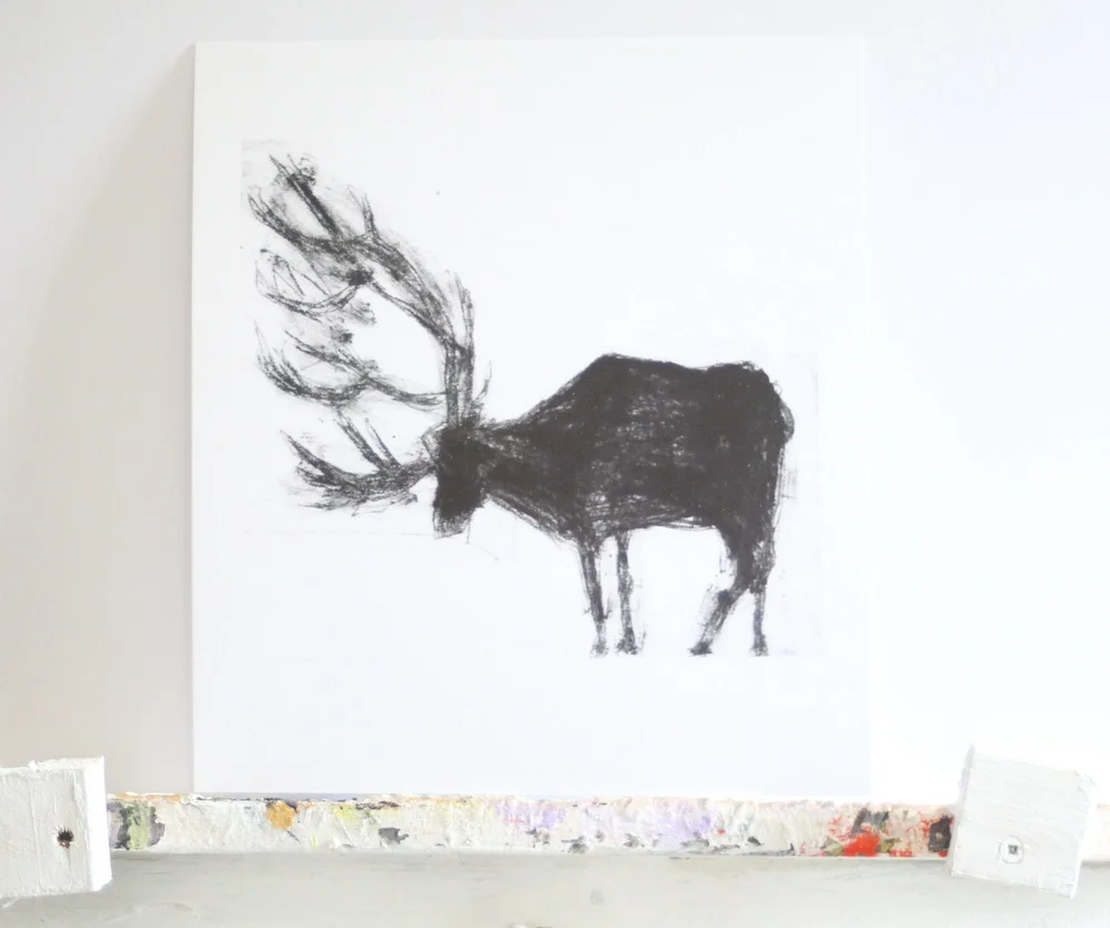 Stag+oep4.JPG