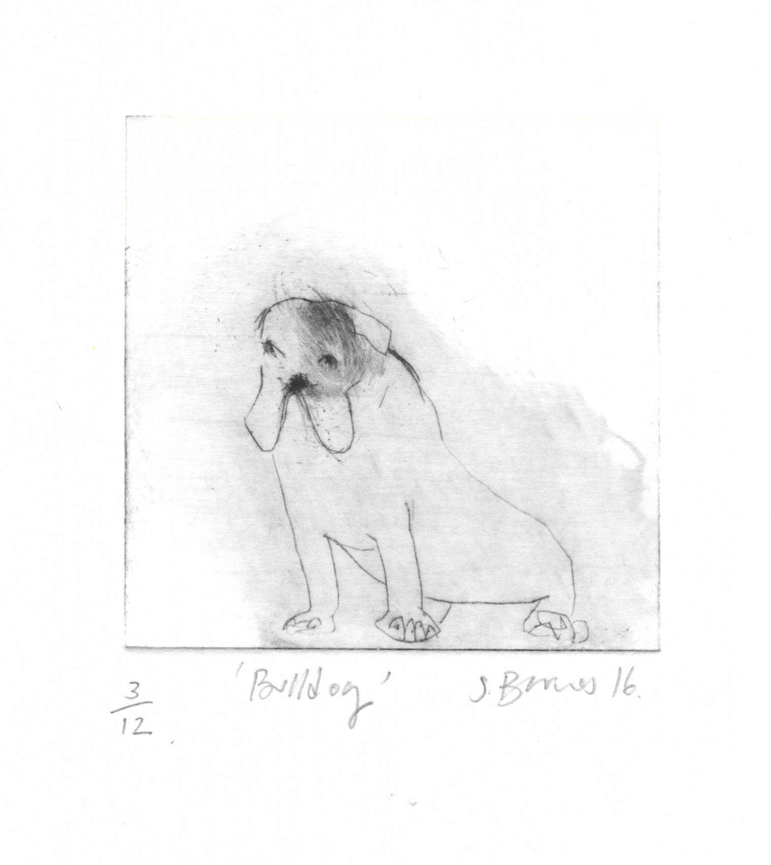 'British Bulldog'  Drypoint Print