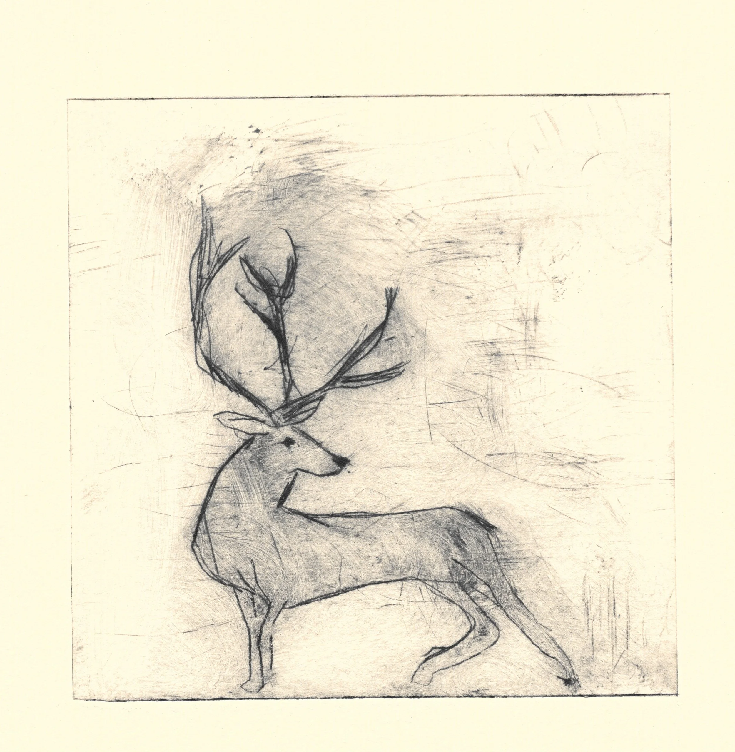 'Mule Deer'  Drypoint Print