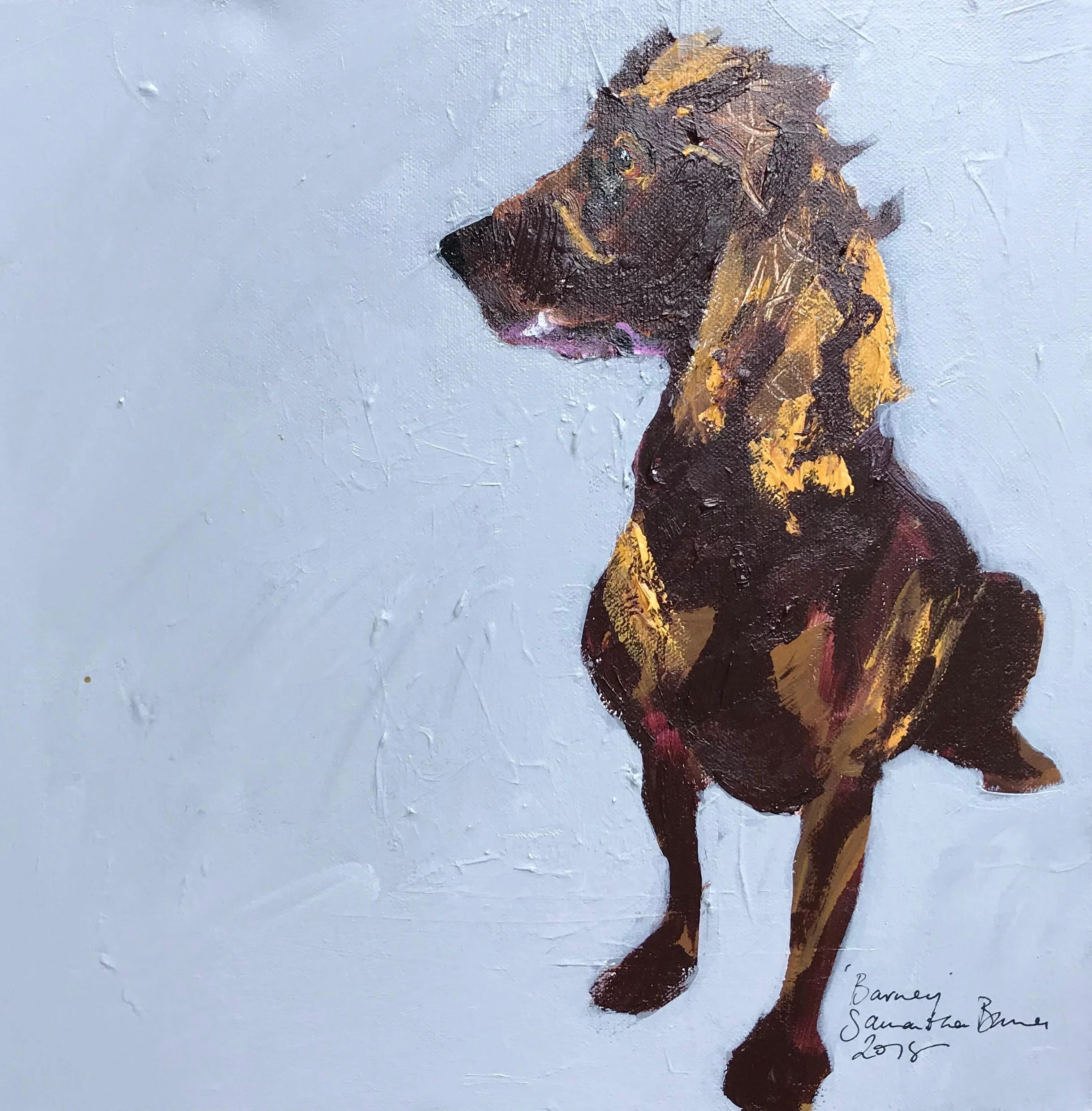 Barney Brown Cocker Spaniel.jpg