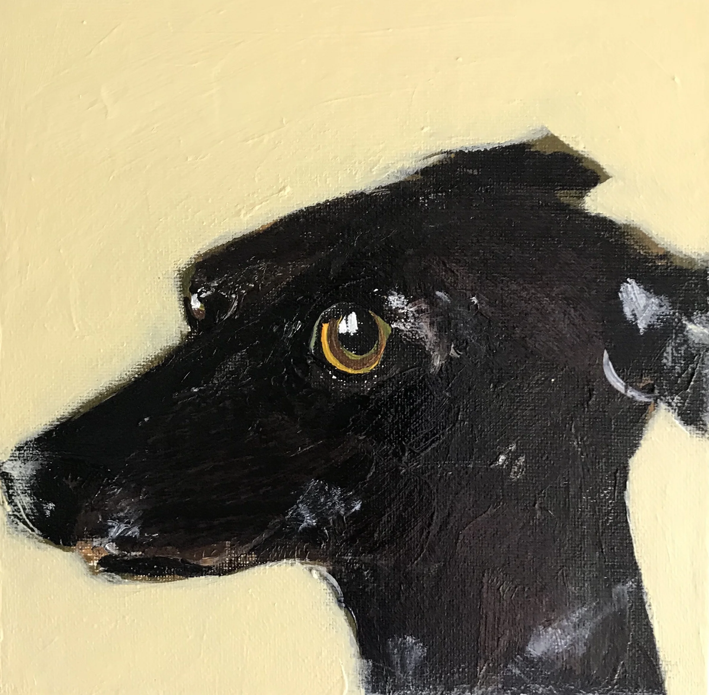 Bella Whippet Cream.jpeg