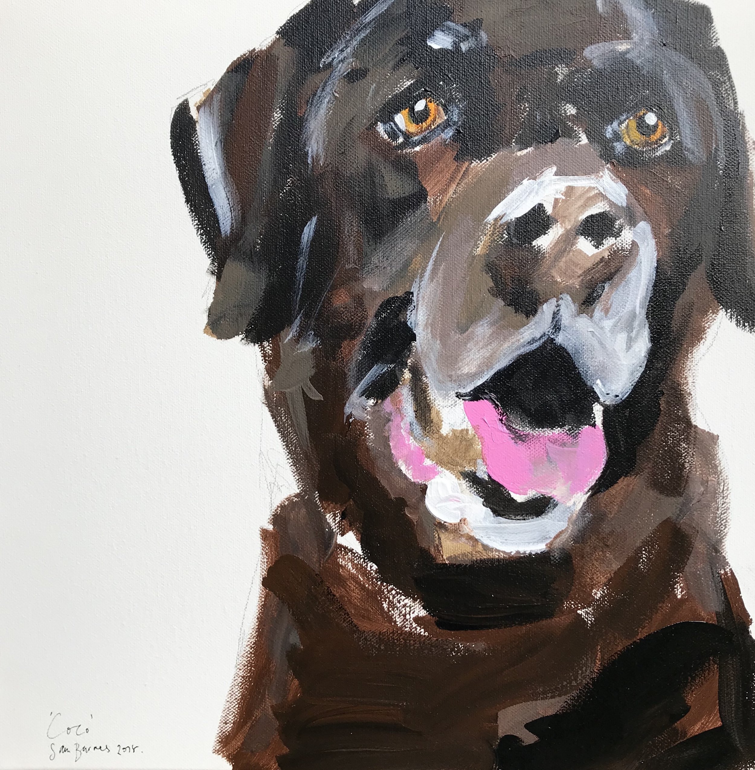 Coco Brown Labrador Master.jpeg