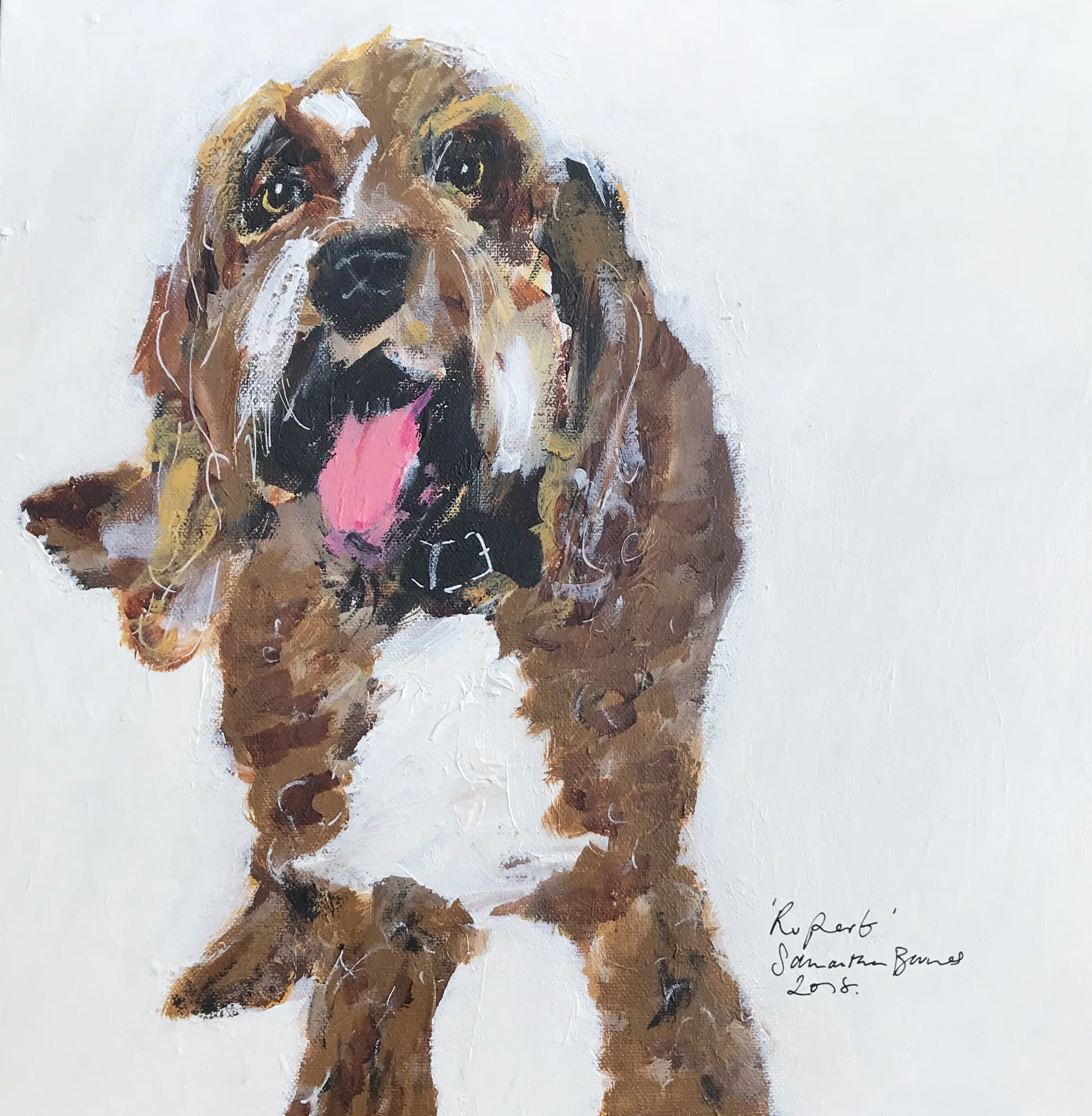 Rupert The Cockerpoo.jpg