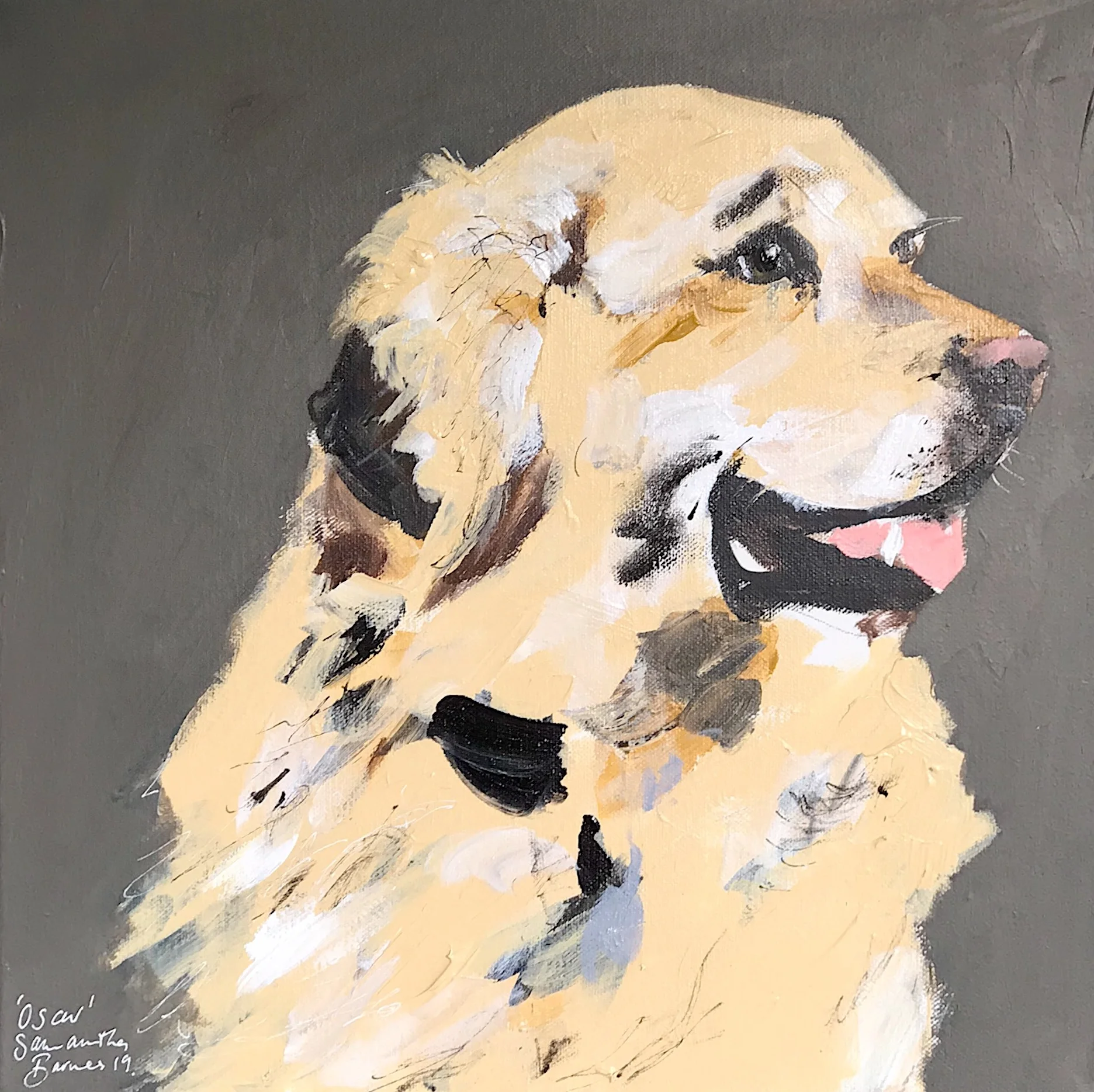 Oscar, Golden Retriever Close up.jpeg