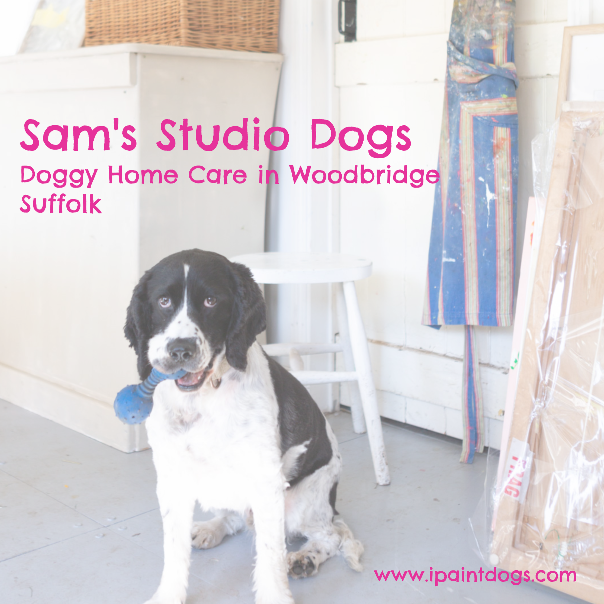 Sams Studio Dogs graphic.png
