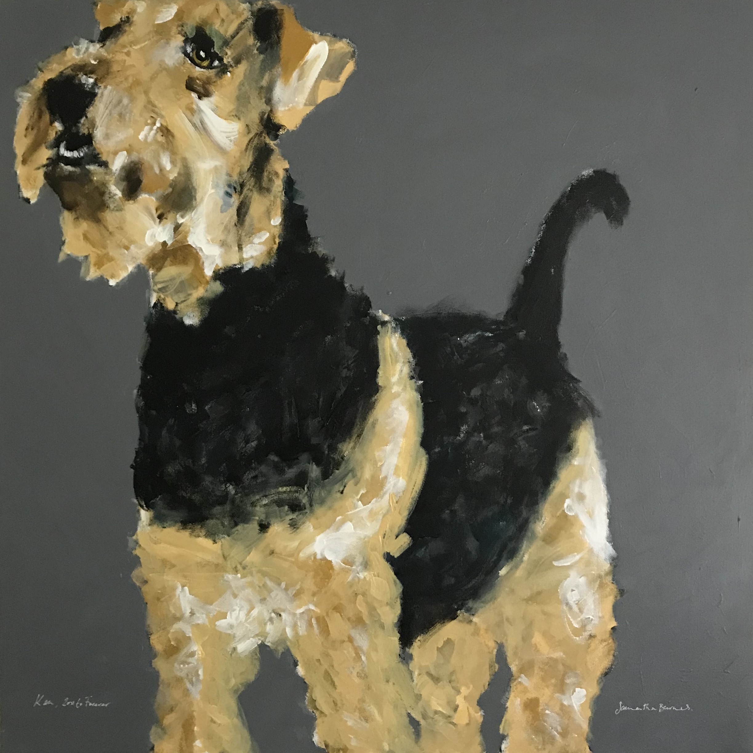 Ken, Airedale Terrier
