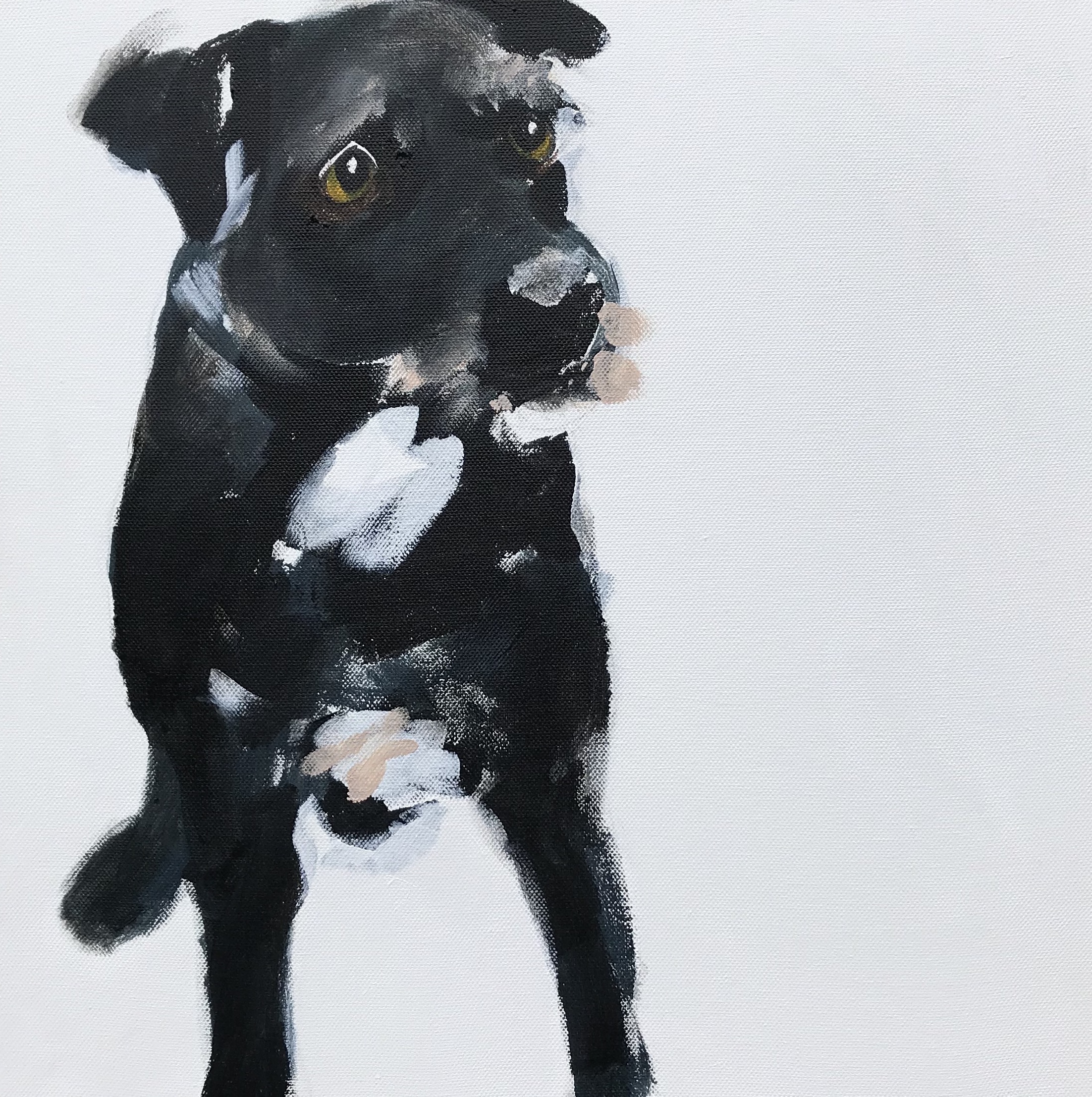 Skye, Close up and Cut out.jpeg
