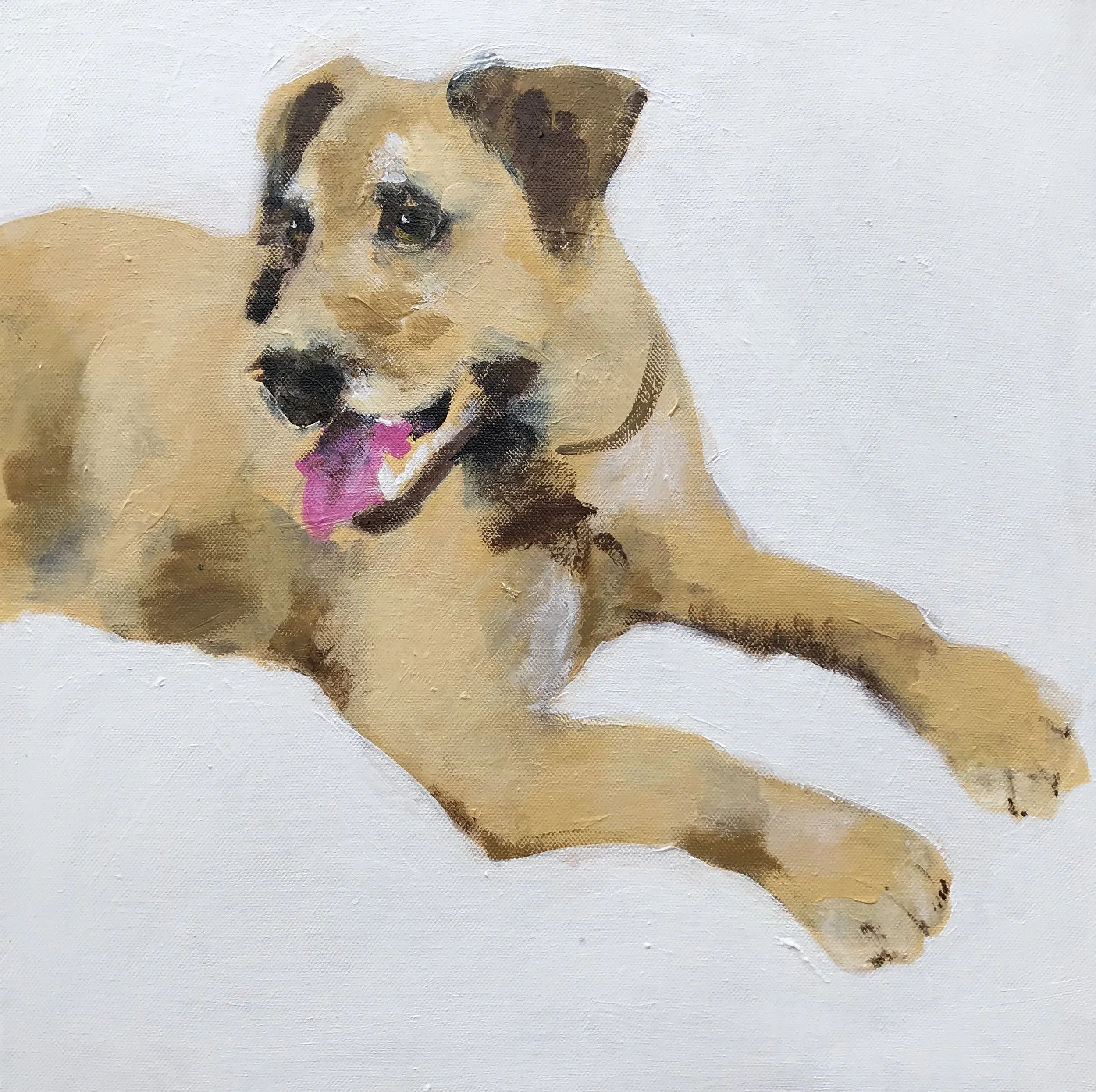 Kasper, Close up & Cut out.jpeg