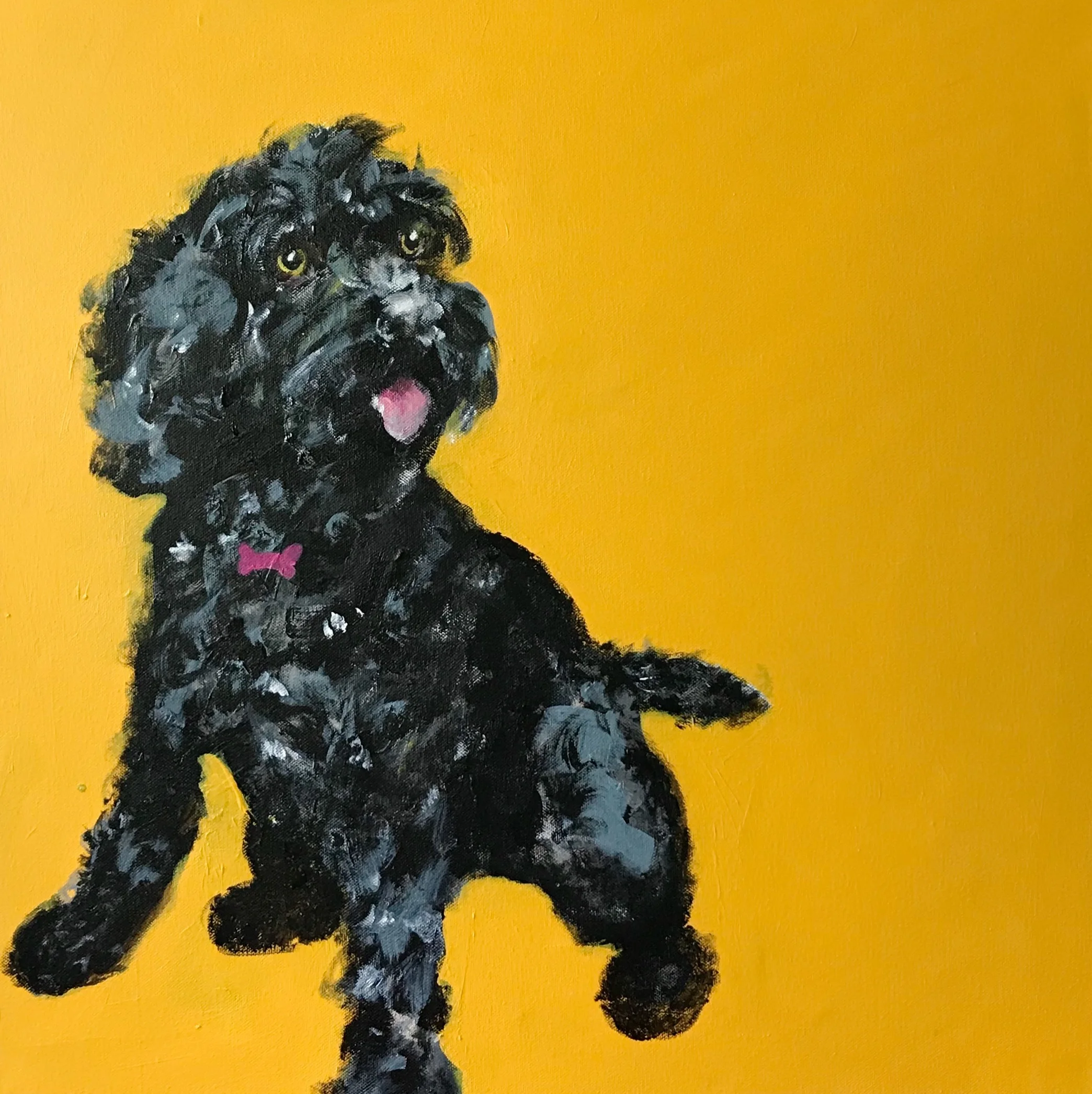 Luna, Cockapoo
